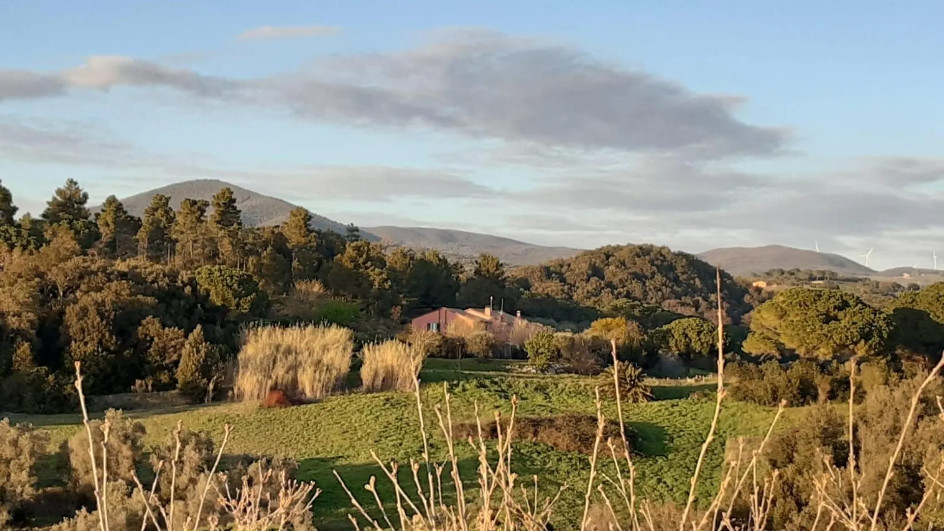 Agriturismo Piccolo Paradiso Riparbella