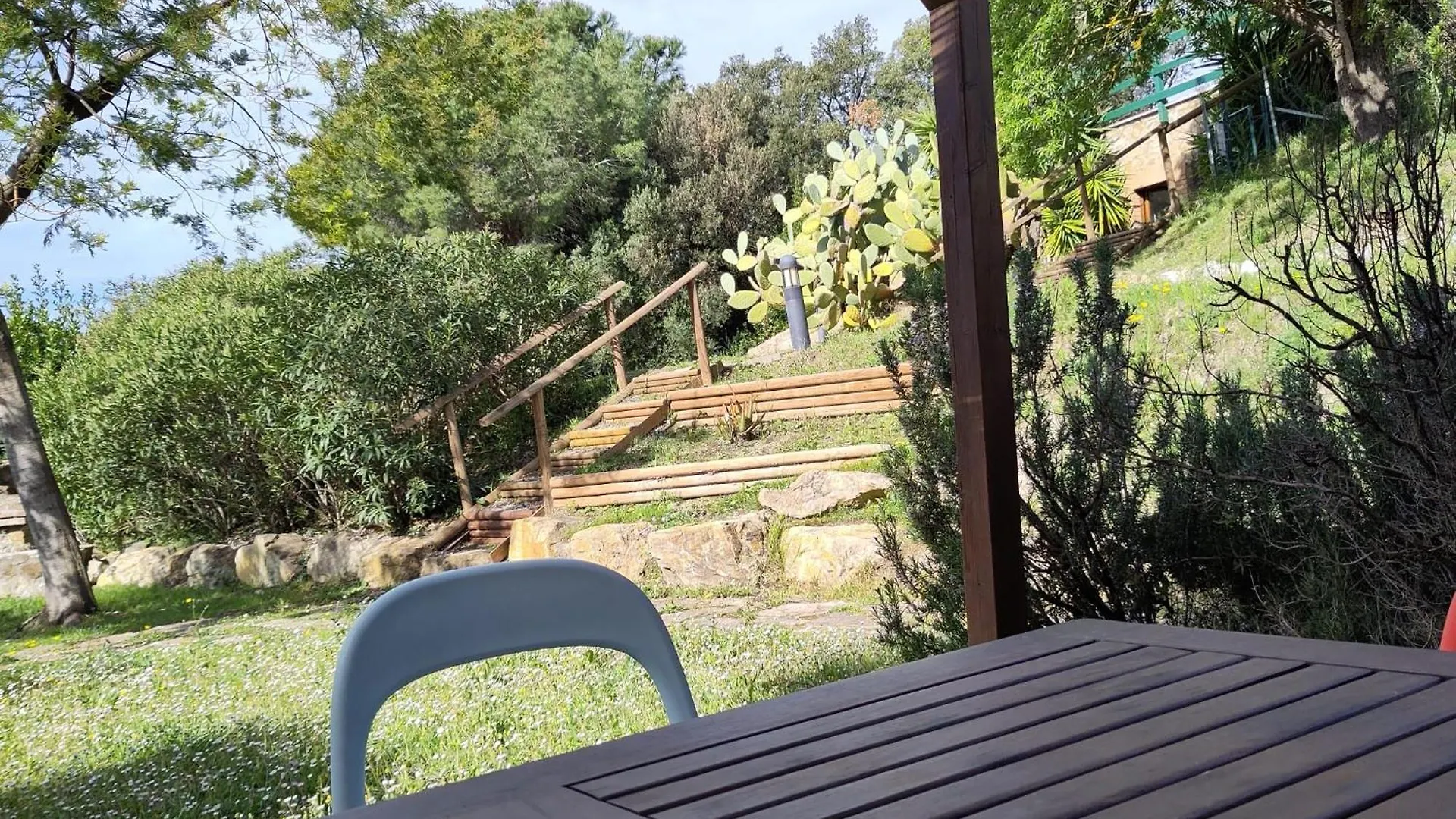Agriturismo Piccolo Paradiso Riparbella Apartment